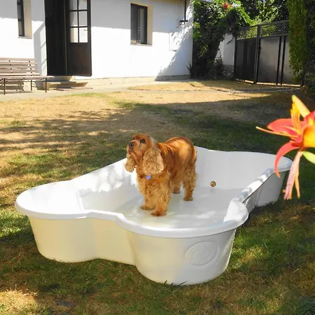 Obora Holiday home
